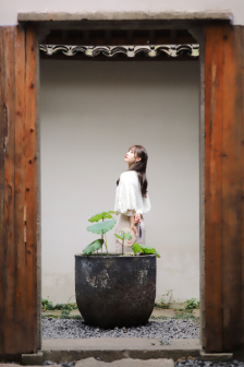 拯救嫌疑人电影免费观看